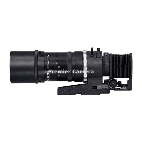 Canon R 300mm F4